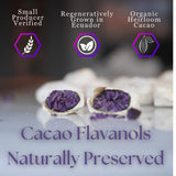 Vital Purple High Flavonal 100% Raw Cocoa Energy Nibs - 900mg Flavanols, Purple Cacao, Unroasted & Unfermented - Clean Fuel for Performance & Recovery (10 oz)