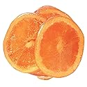 NY SPICE SHOP Orange Slices Candy - Gourmet Gummy Candies - Tangy Flavored Fruit Slice For Fruits Lovers (1 Pound)