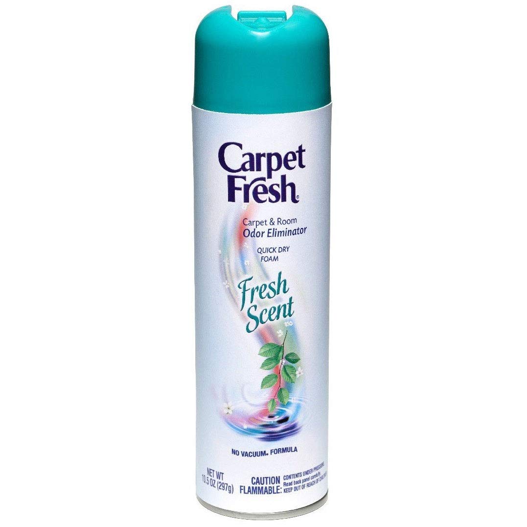 Carpet Fresh® Quick-Dry Foam, Fresh Scent, 10 OZ