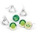 Big Dot of Happiness Double the Fun - Twins Two Peas in a Pod - Baby Shower or First Birthday Party Round Candy Sticker Favors - Labels Fit Chocolate