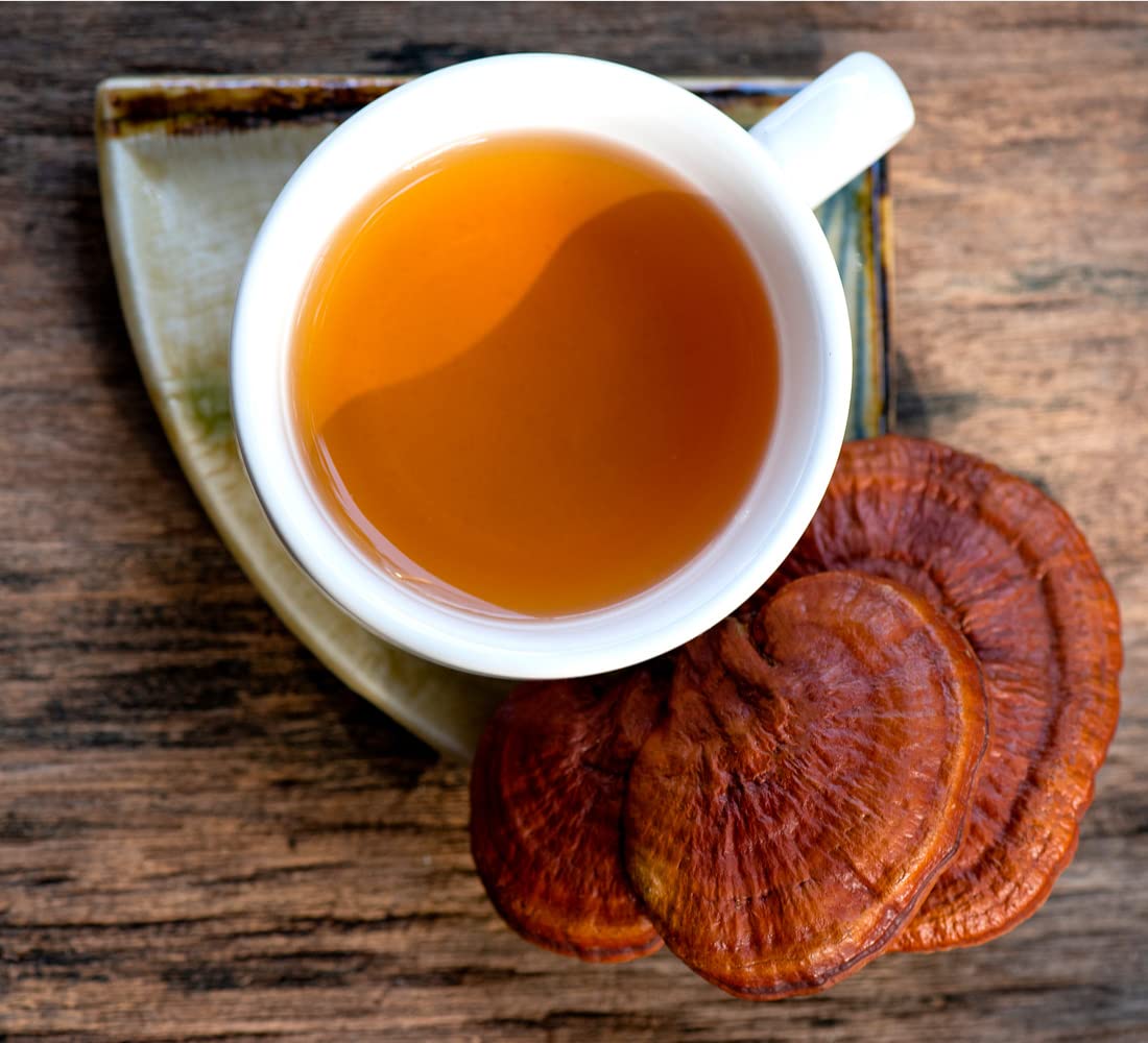 Reishi Mushroom Tea & Premium English Breakfast Tea - Black Tea With Lingzhi, Ganoderma 20 Triangles