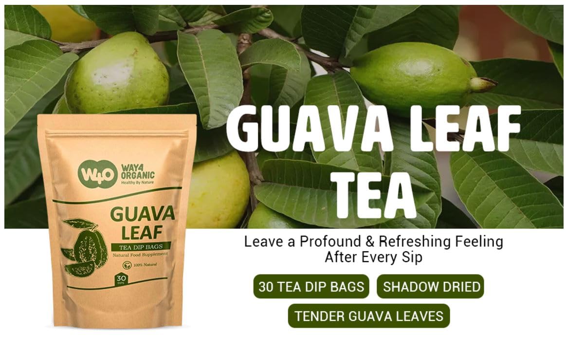 Guava Tea Bags, Dried Tender Leaves Tea, 30 Count, Pleasant Taste, Caffeine Free (Pack of 1)