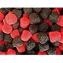 Raspberry and Blackberry Black & Red gummy candy -1-lb Bag by Nuts n More