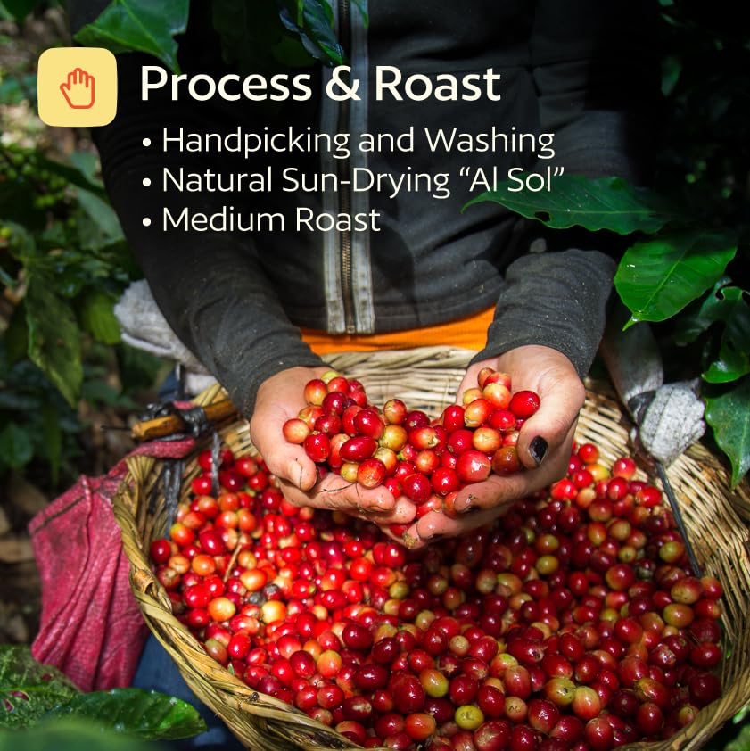 GoodCups Ground Coffee, Medium Roast - Smooth, Low Bitterness, Balanced Flavor, 100% Arabica, Easy to Drink Daily Coffee, Rich Aroma