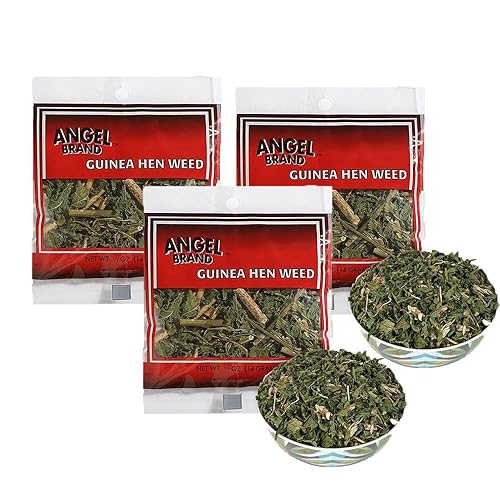 Angel Brand Guinea Hen leaves Tea - 0.5 oz Pouch Pack of 3 Sourced From Lush Tropics, Discover Potent & Versatile Qualities of Our Premium Anamu Plant