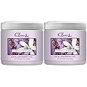 Clear Air 15oz Gel Odor Eliminator - Absorb & Remove Strong Odors from Pets, in Bathrooms, Basements, Garage, Cars, RVs & Boats - Eliminate Tough