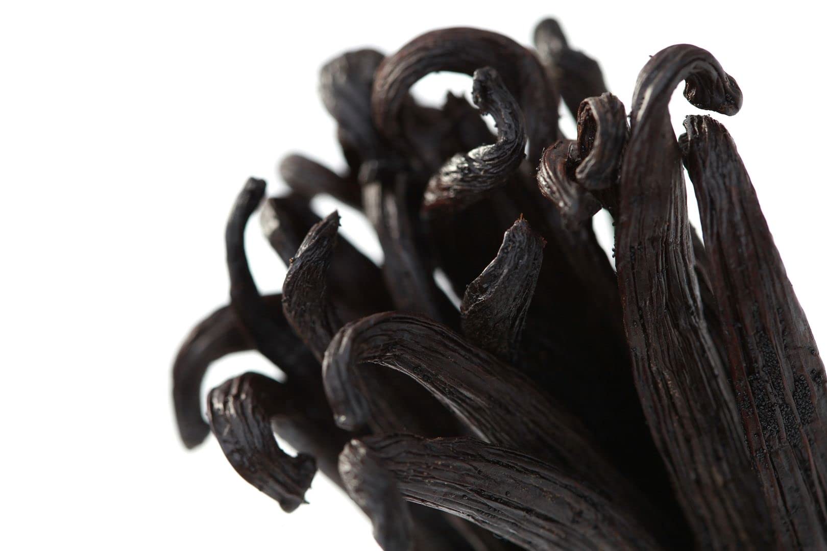 Ecuadorian Vanilla Beans Whole Grade A Vanilla Pods for Homemade Vanilla Extract, Baking, Ice Cream, Flavoring, & Vanilla Powder (8 Ounce)