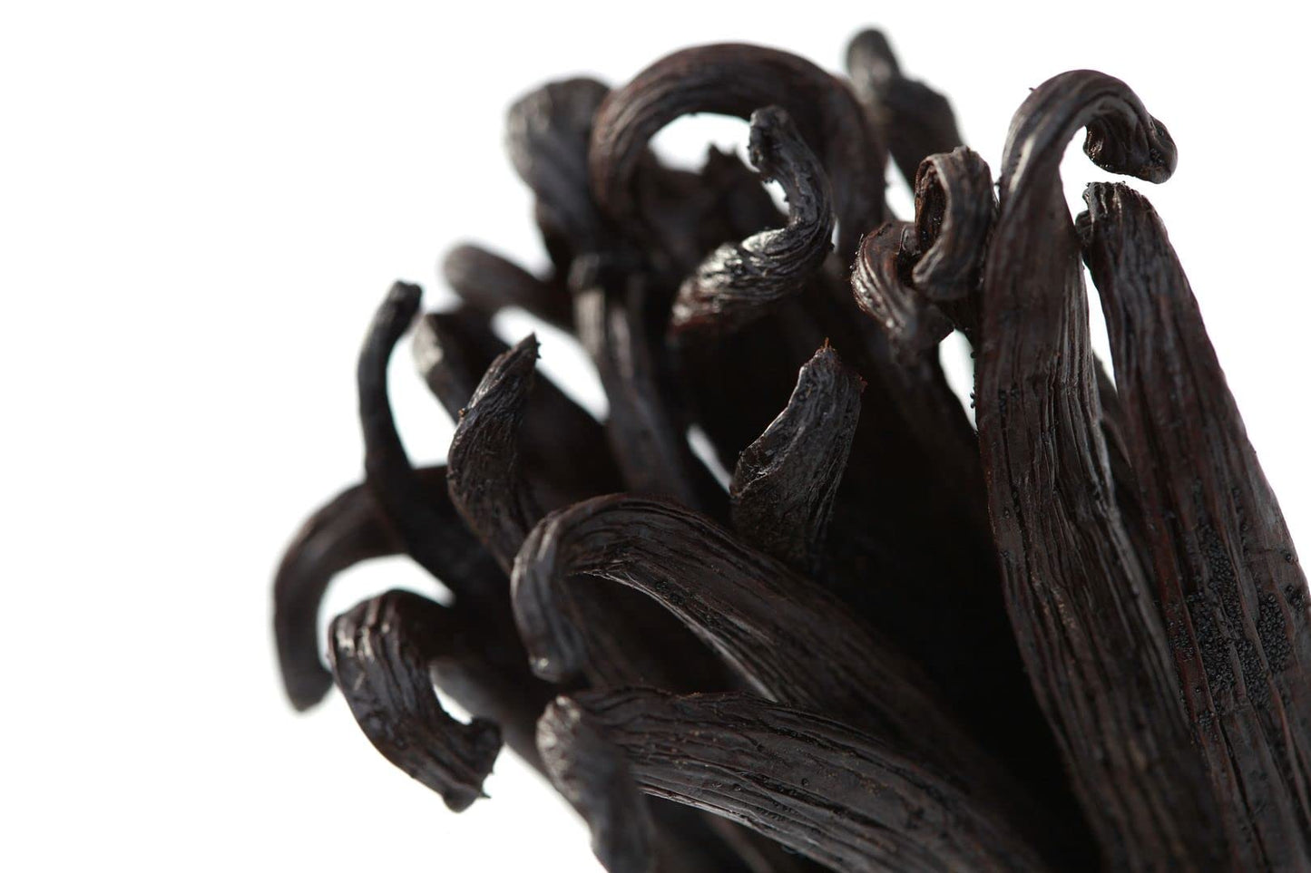 Ecuadorian Vanilla Beans Whole Grade A Vanilla Pods for Homemade Vanilla Extract, Baking, Ice Cream, Flavoring, & Vanilla Powder (50 Pack)
