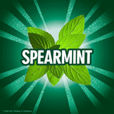 (6 Pack) ECLIPSE Spearmint Sugar Free Chewing Gum Bulk Pack, 60 Piece Bottle