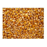Bulk Grains 100% Organic Yellow Popcorn Bulk 5 Lbs