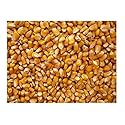 Bulk Grains 100% Organic Yellow Popcorn Bulk 5 Lbs