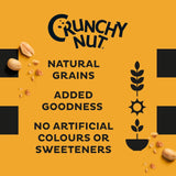 Kellogg's Crunchy Nut Cornflakes 460g (Pack of 3