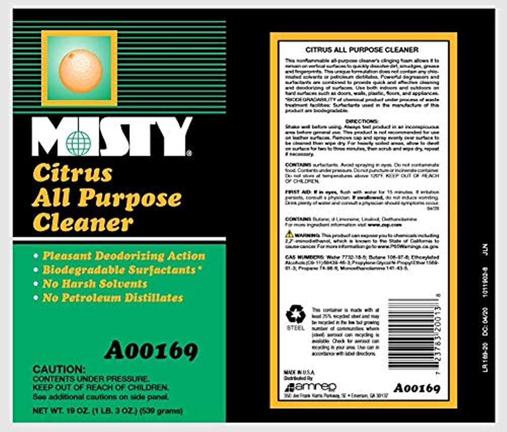 MISTY Citrus All-Purpose Cleaner - 19 oz (Case of 12) 1001583 - Biodegradable Aerosol, For Indoor and Outdoor Use, Fresh Citrus Scent