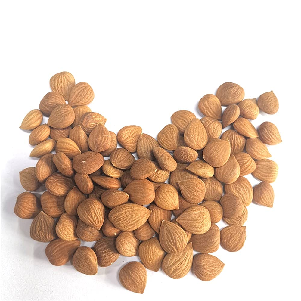 Natural Raw Bitter Apricot Kernels 16oz, Organic USDA Certified Bitter Apricot Seeds 1LB