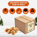 Walnuts, "Current new crop" In shell Hartley choice, Low-Carb, High-Protein, Unshelled Fresh, Easy to crack, Healthy snack, Dietetic, Vegan, Packed in