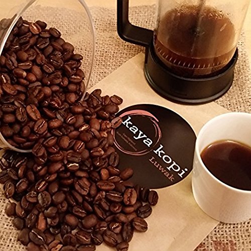 Kaya Kopi Premium Kopi Luwak From Indonesia Wild Palm Civets Arabica Coffee Beans (Medium Roast, 1.76 Ounce (Pack of 1))