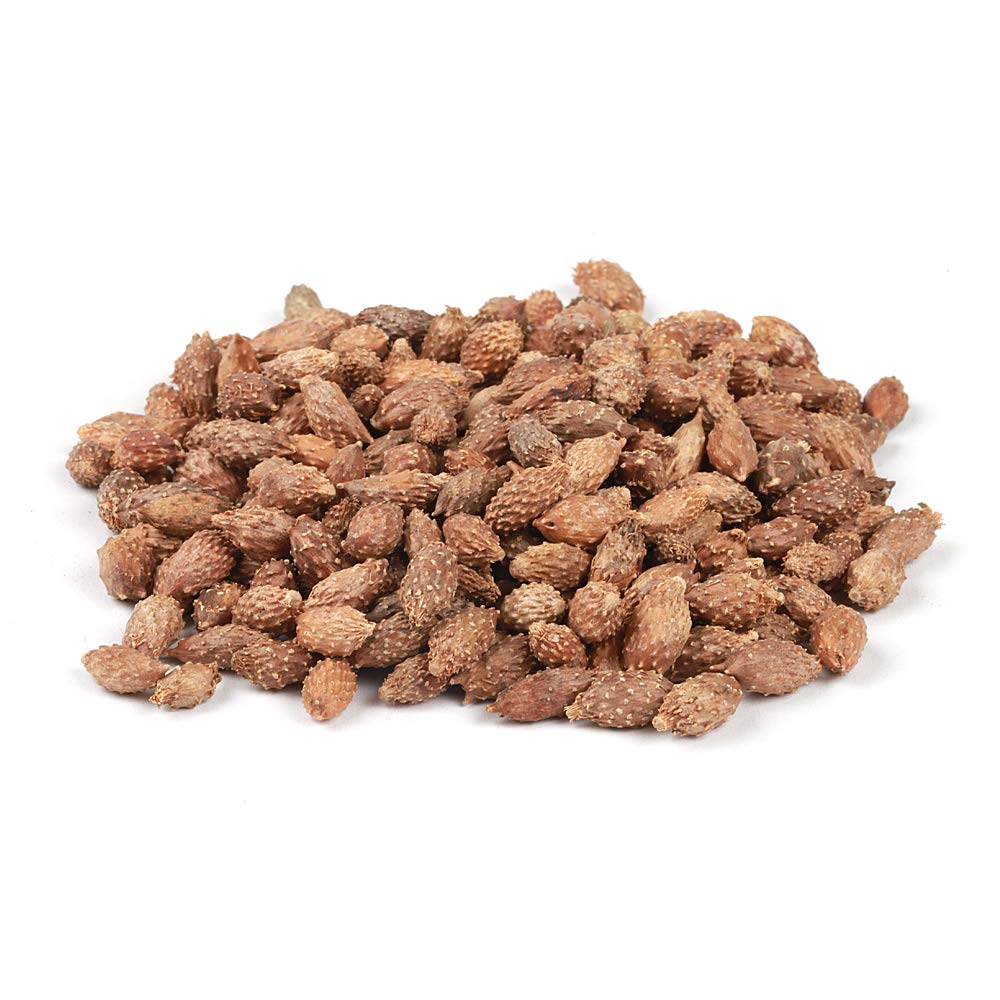 EidolonGreen Dried Xanthium Strumarium (Cocklebur/???/Cang Er Zi) Pods | Whole Loose Herbs for Botanical Reference, TCM Study & Craft Display | 3 Oz