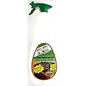 Well Done St.Moritz Oven Cleaner 27Oz (750Ml) Pack (2)