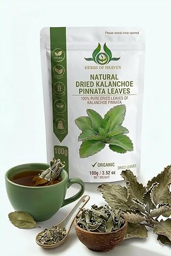 HERBS OF HEAVEN 200 Kalanchoe Pinnata Leaves Leaf Of Lives Miracale Plant Healthy Well Cleaned Dried Leaves Herbal Tea