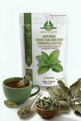 HERBS OF HEAVEN 200 Kalanchoe Pinnata Leaves Leaf Of Lives Miracale Plant Healthy Well Cleaned Dried Leaves Herbal Tea