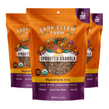 Lark Ellen Farm Grain-Free Granola, Certified Organic Raw Sprouted Vegan Clusters, Paleo & Crunchy Gluten-Free Bites for Cereal or Yogurt, Pumpkin