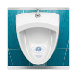 Boardwalk Urinal Screen with Non-Para Cleaner Block, Green Apple Scent, 3.25 oz, Blue/White, 12/Box