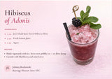 JOY'S ISLAND SPICE SORREL HIBISCUS ELIXIR - Non-Alcoholic Cocktail Mixer & Mocktail - Caribbean Botanical Aperitif - Award Winning - Ginger, Cinnamon