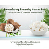 1.1 Ib Freeze-Dried Coconut Chunks, Unsweetened Dehydrated Coconut Flakes, 500g, Plant-Based Snack for Breakfast, Desserts, Smoothies