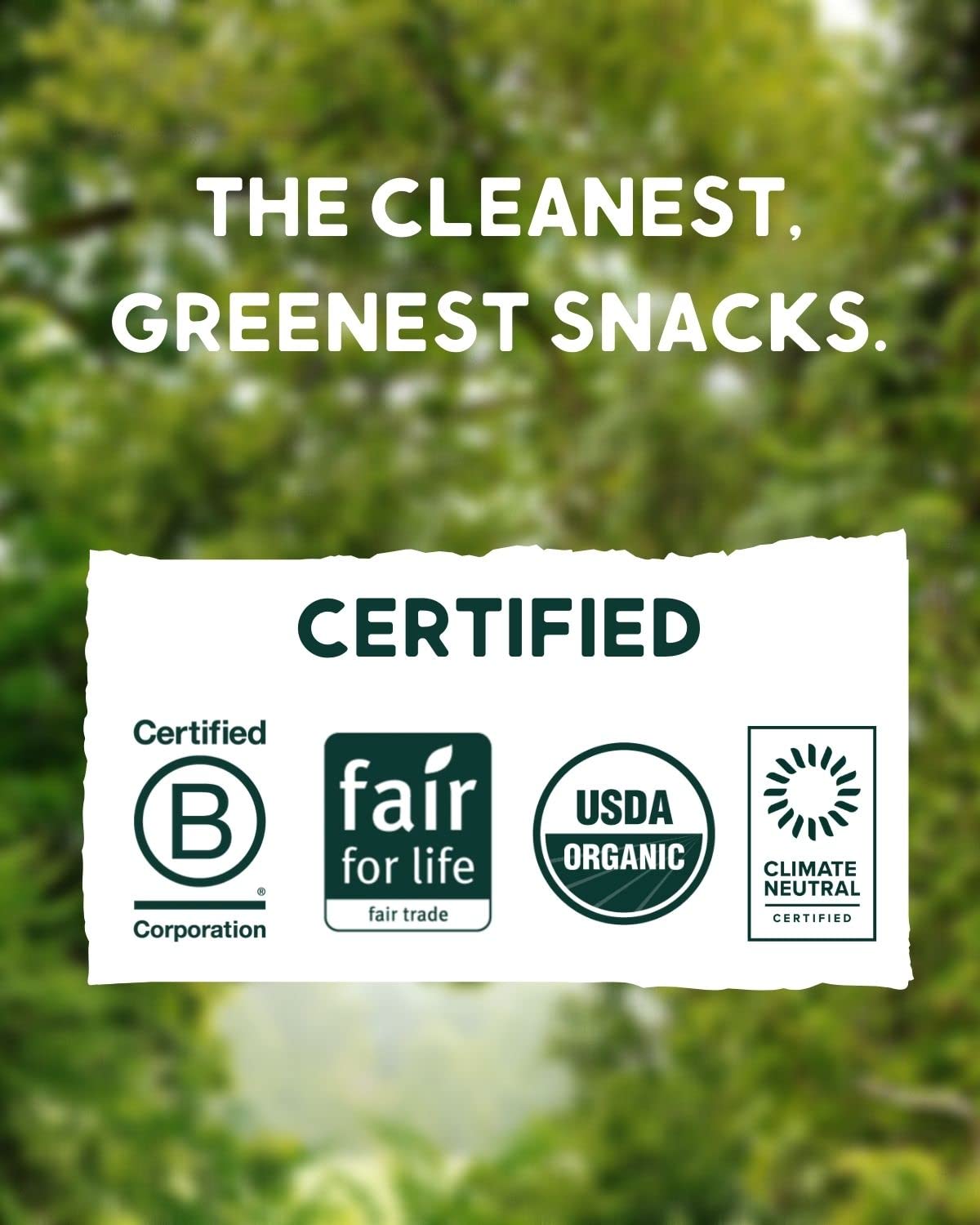 Alter Eco | Dark Chocolate Bars | Pure Dark Cocoa, Fair Trade, Organic, Non-GMO, Gluten Free (Mint Blackout)
