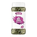Pardesi Dried Mint Leaves (Pudina) 30g - Crushed Peppermint for Chutney, Raita, Tea & Seasoning | Halal, Non-GMO, Vegan | Dual-Cap Jar