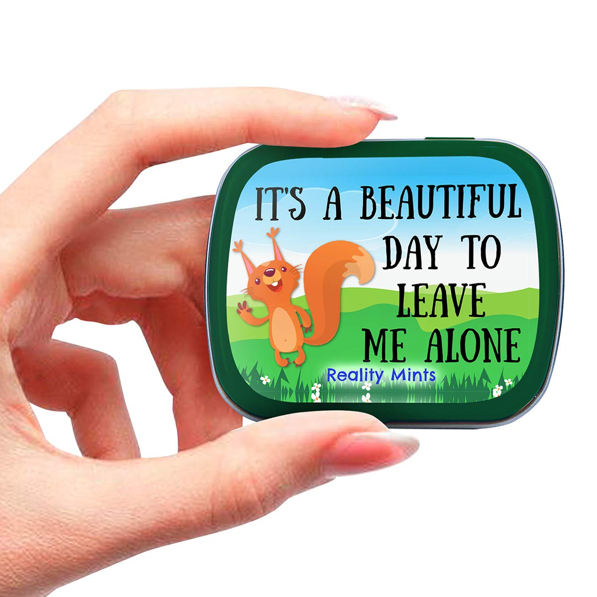 It's A Beautiful Day To Leave Me Alone Mints - Wintergreen Breath Mints - Novelty Candy Gift for Women - Hinged Collectible Tin of Sugar-Free Candy