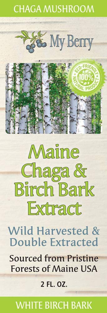 My Berry Maine Chaga Mushroom & Birch Bark Extract Liquid | 2oz | Wild Harvested & Double Extracted | USA & Canadian Grown Chaga