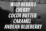 Wild Forest House Blend 100% Colombian Coffee Whole Bean 12oz