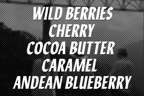 Wild Forest House Blend 100% Colombian Coffee Whole Bean 12oz