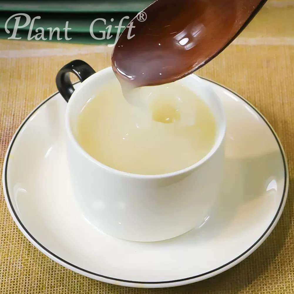 Plant Gift 100% Pure Lily Powder ??? lily bulbs Powder Natural Lily Flour, Great Flavor for Drinks, Adds Flavor and Taste Non-GMO Powder, No Filler