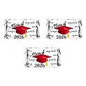 RokAPary 60 Graduation Cap Party Class of 2026 Miniatures Candy Bar Wrapper, (Set of 60) Mini Candy Chocolate Bar Stickers, Labels, Candy Not