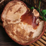Dired Ganoderma Lucidum Lingzhi Ganoderma Lucidum Pieces Reishi Mushroom Slices,Ganoderma Mushroom (500 Grams /1.10 lbs)