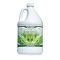 Nu-Calgon 4191-08 Evap-Green, 1 gal Bottle