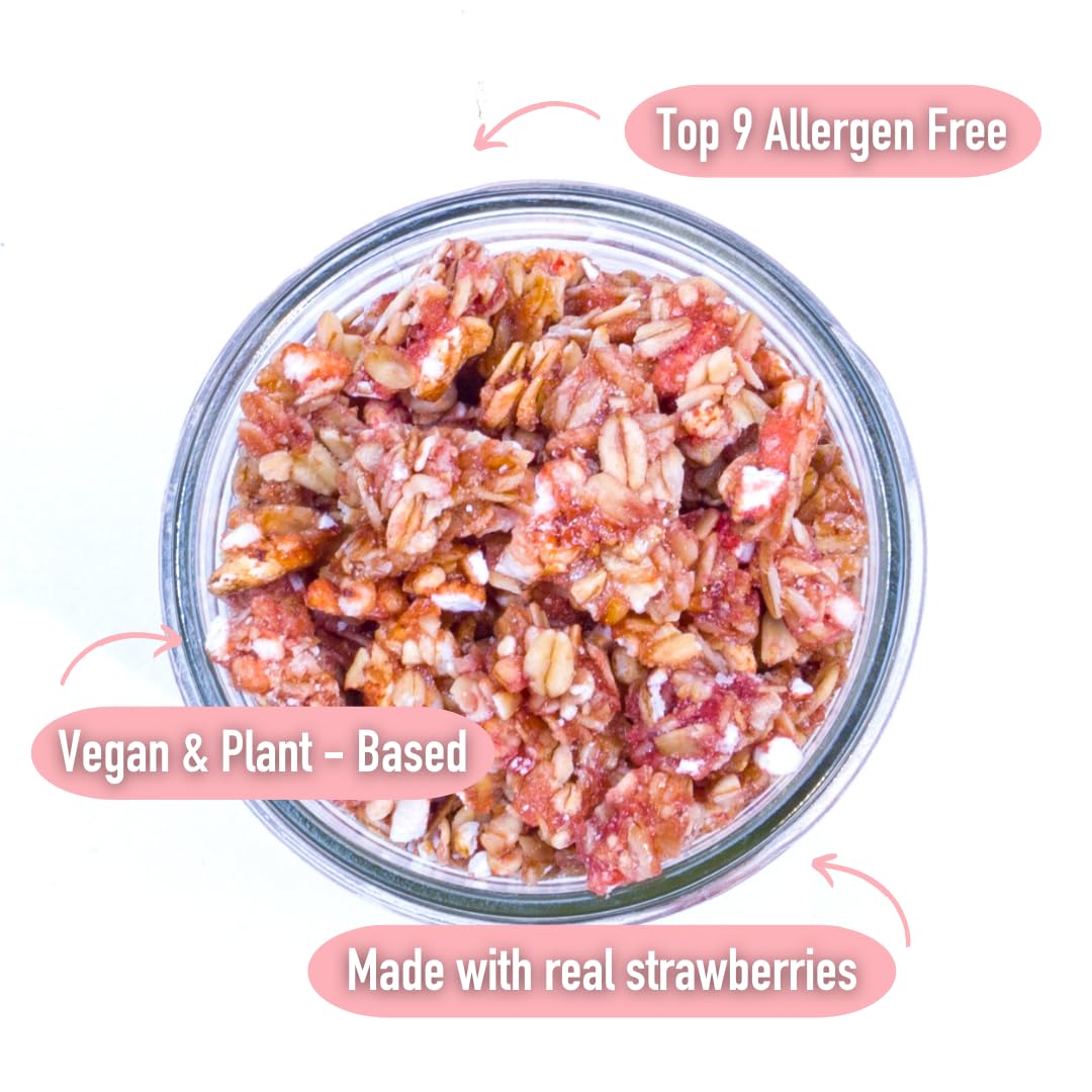 Safe + Fair Strawberry Shortcake Granola - Gluten-Free, Dairy-Free & Vegan Snack - Allergen-Free, Non-GMO, and No Artificial Ingredients - 12oz