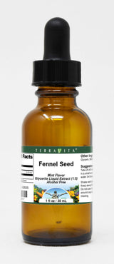 Fennel Seed - Glycerite Liquid Extract (1:5) - Mint Flavored (1 fl oz, ZIN: 428305) - 2 Pack