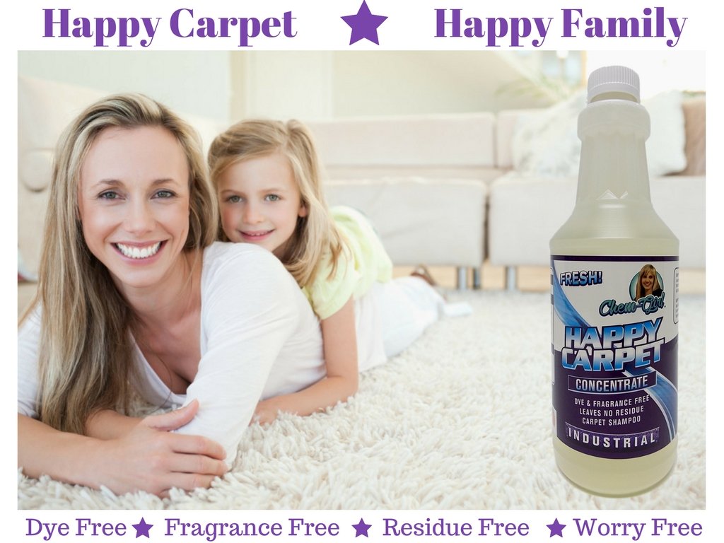 Premium Concentrate Carpet Shampoo, Removes Stains & Odors from Rugs, Mats & Upholstery, Deep Pet Spot Cleaner, Bissell & Hoover Steam Compatible | 1