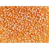Grain Place Foods | Mushroom Popcorn Kernels | Pops in Ball Shape | Excellent as Kettle Corn or with Caramel | 2 lb Bag