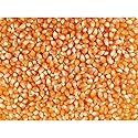 Grain Place Foods | Mushroom Popcorn Kernels | Pops in Ball Shape | Excellent as Kettle Corn or with Caramel | 2 lb Bag