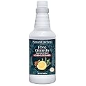 Natural Riches Household Cleaner Concentrate Five Guards from The Tales of French stories of Thieves Essential Oil Blend Household Cleaner - 32 fl oz