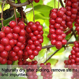 Wananfu Schisandra Berry Dried 4oz, Schizandra Berries for Tea, Wuweizi (????)