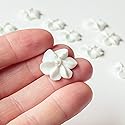 Mini Edible Royal Icing Flowers (36 Count), Petite Edible Flower Cake Decorations, Edible Flowers for Cupcakes, Flowers with Pearl Sprinkles for Cakes