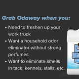 Pyranha Odaway Ready-to-Use Odor Eliminator Spray - Broad Spectrum Scent Neutralizer for Home, Kennel, Car, Bathroom & Gear, BOV Can 15 oz