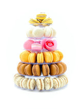 Surprise me 12 Pack | Assorted Vegan Macaron