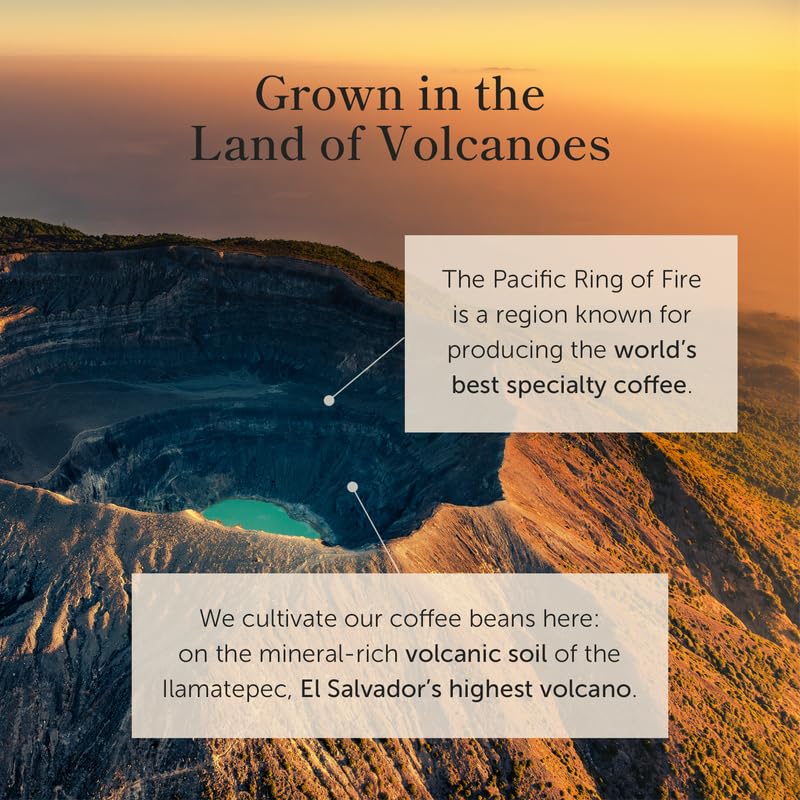 Bean of Fire El Salvador Gesha Natural Ground Coffee - Medium Roast, Single Origin Specialty, Chocolate & Lemon Cup (16 oz)