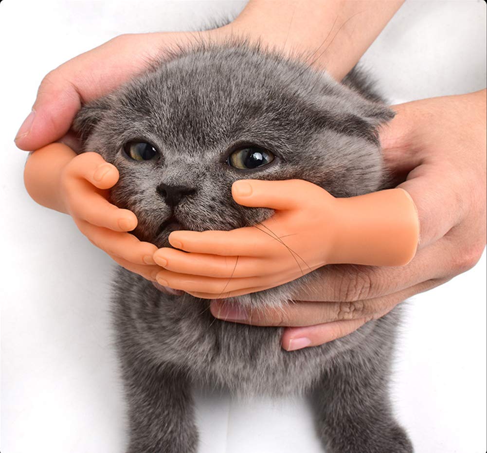 Aomomy Cat Cute Mini Hands Touch Cheek Brushes Finger Toys 1 pairs of fingers
